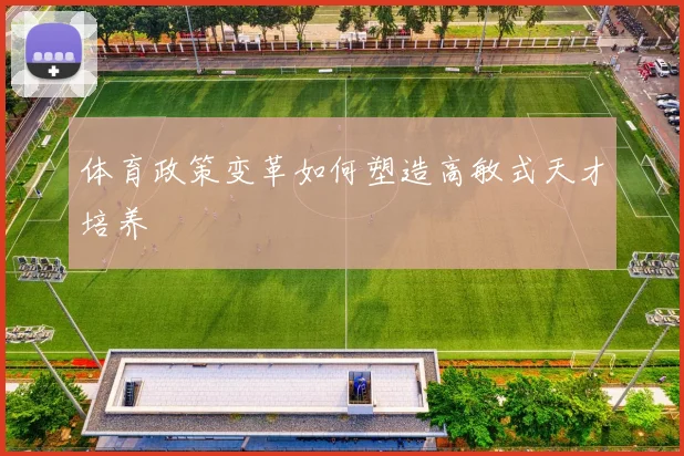 体育政策变革如何塑造高敏式天才培养