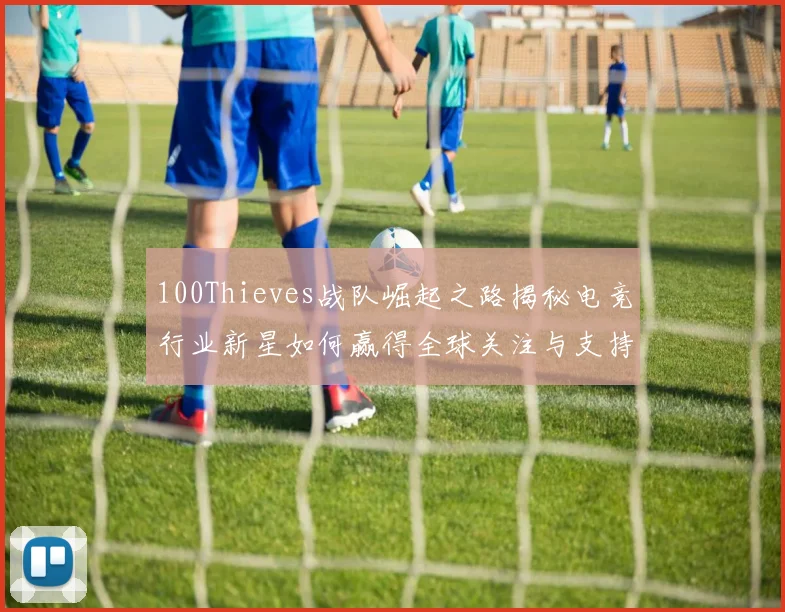100Thieves战队崛起之路揭秘电竞行业新星如何赢得全球关注与支持