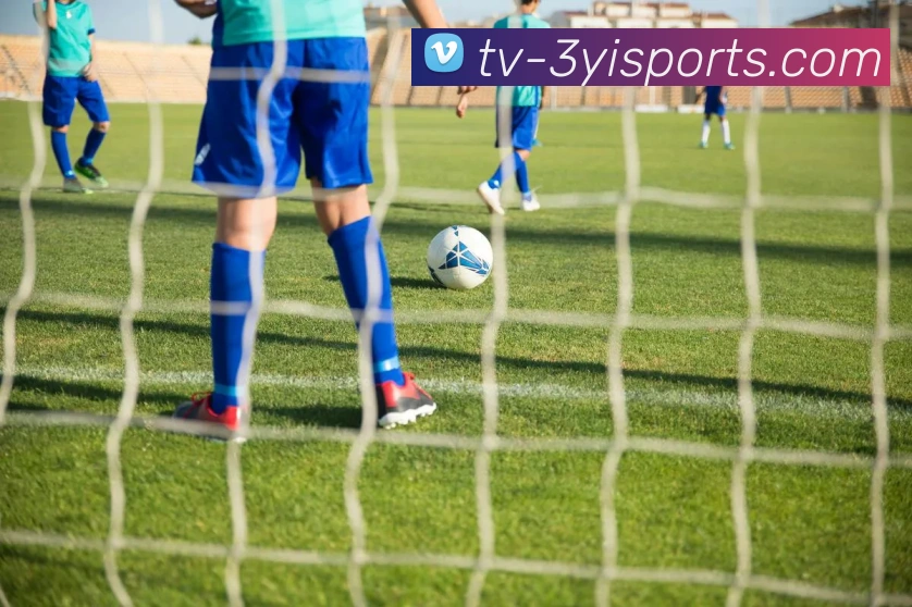 三亿官网服务体系